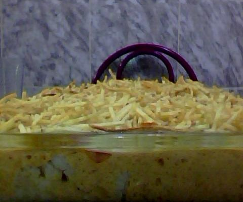 Invenção de Couve-flor