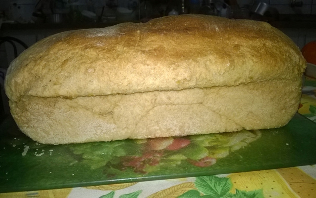 Pão integral especial da Gel