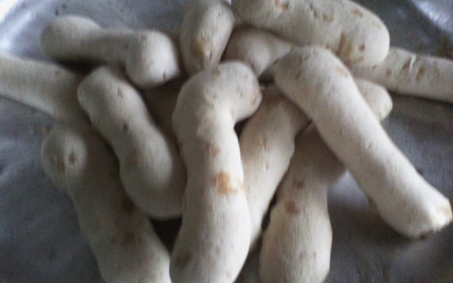 Biscoitão de polvilho doce e azedo