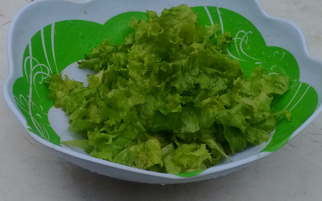 Salada de alface