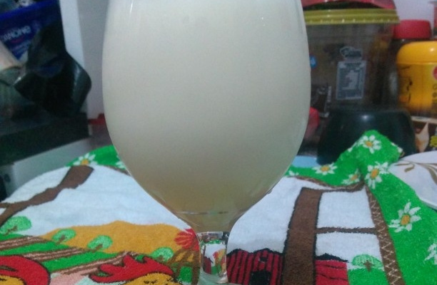 Leite fermentado kefir (natural)