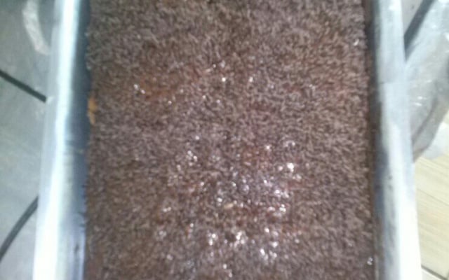 Bolo comum com cobertura de chocolate