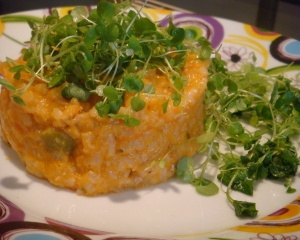 Risoto de frango Tudo Gostoso