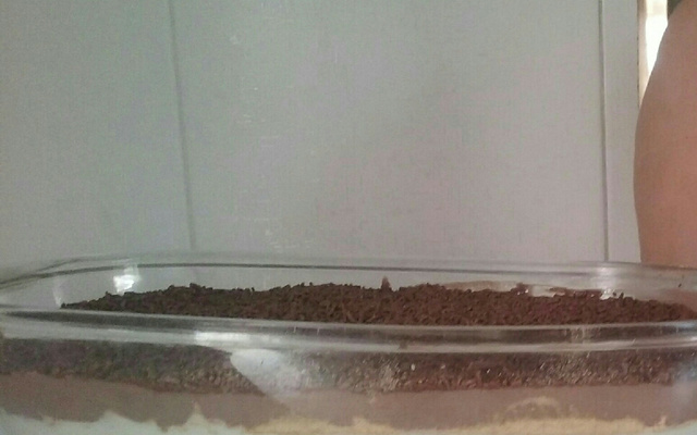 Pavê Branco e preto simples