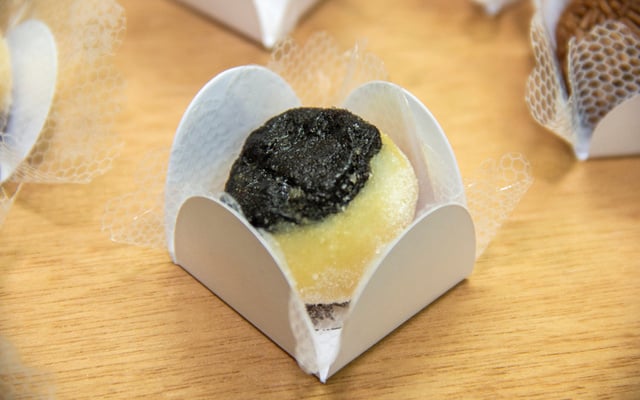 Olho de sogra especial