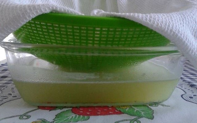 Iogurte grego caseiro