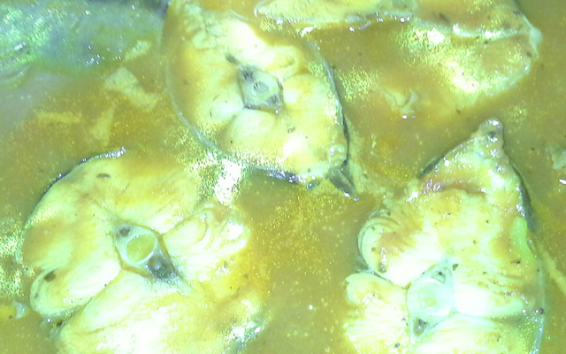 Ensopado de peixe