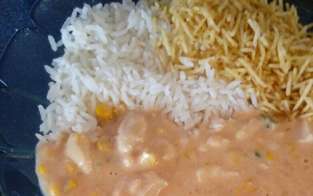 Estrogonofe simples de frango