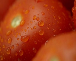 Tomate seco (rápido)