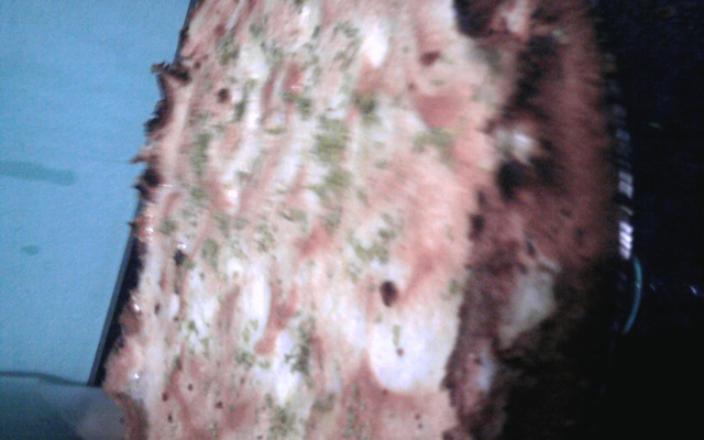 Torta de limão fácil