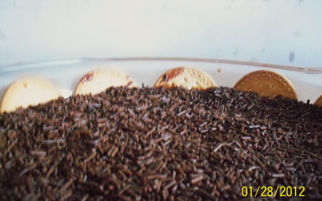 Torta de bolacha de chocolate