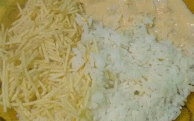 Estrogonofe de frango com requeijão