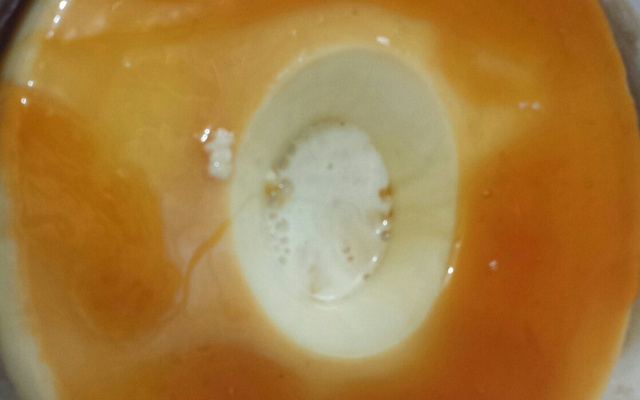 Pudim de leite condensado que não vai no forno