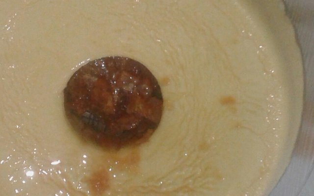 Pudim fácil sem cozinhar