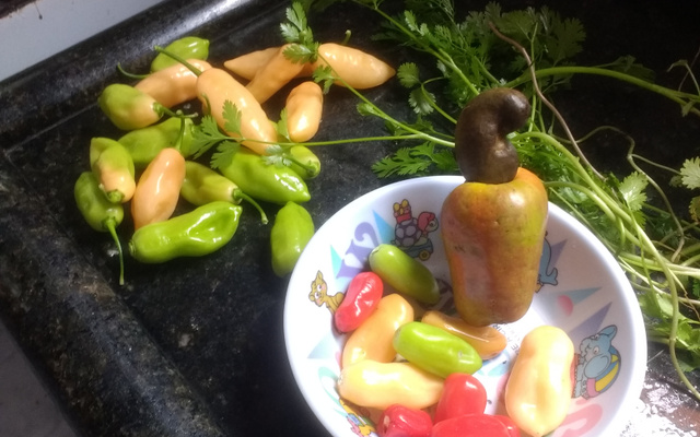 Molho de pimenta-de-cheiro