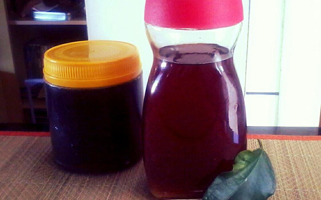 Xarope Caseiro de Guaco & Mel para a Tosse