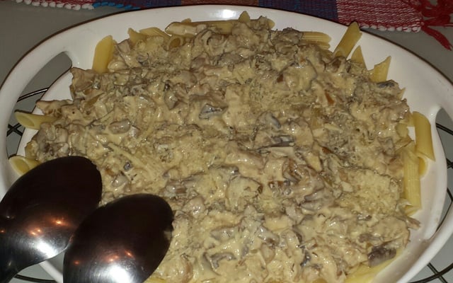 Penne ao molho funghi