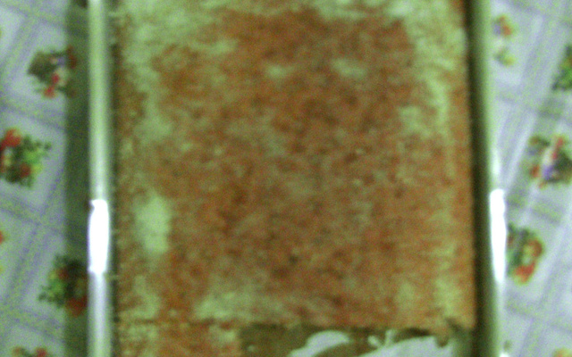 Bolo molhado de leite condensado e coco