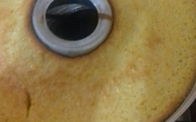 Bolo de queijo com milharina