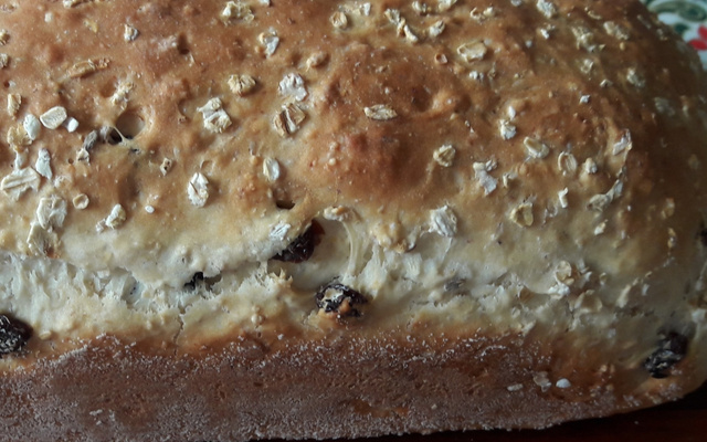 Pão de aveia, quinoa e uvas passas