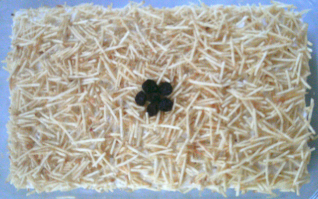 Sanduíche de Verão