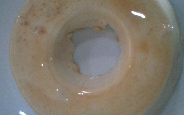 Pudim de leite que não precisa ir ao fogo