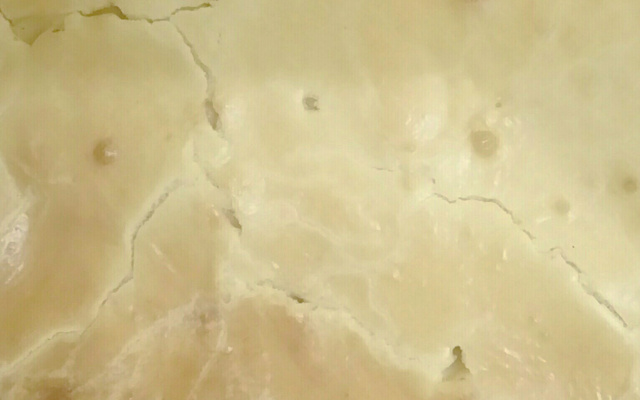 Massa de torta salgada de liquidificador (fácil)