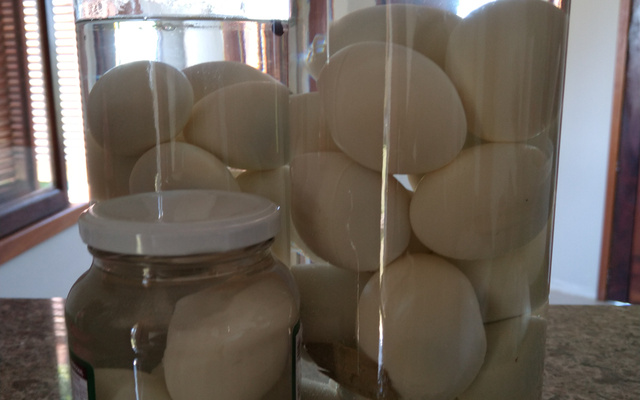 Ovos de galinha temperados em conserva