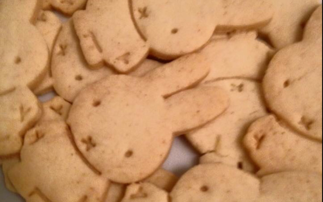 Biscoitos tipo Passatempo