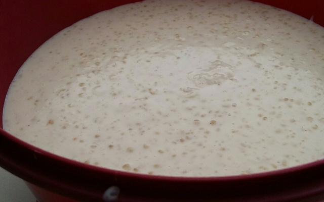 Creme de tapioca com coco