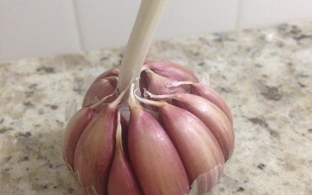 Patê de alho cremoso