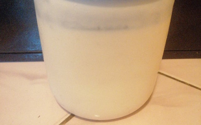 Iogurte natural caseiro