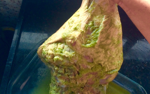 Pernil suíno inteiro (no forno convencional)