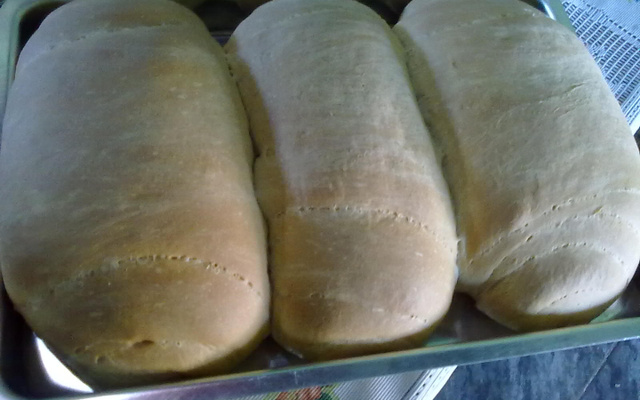 Pão caseiro da Carol