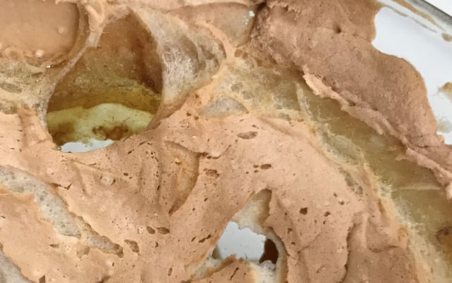 Manezinho araújo passo a passo