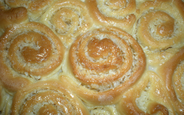 Caracóis de coco espetaculares