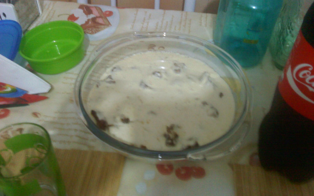 Tirinhas de carne com molho de queijo