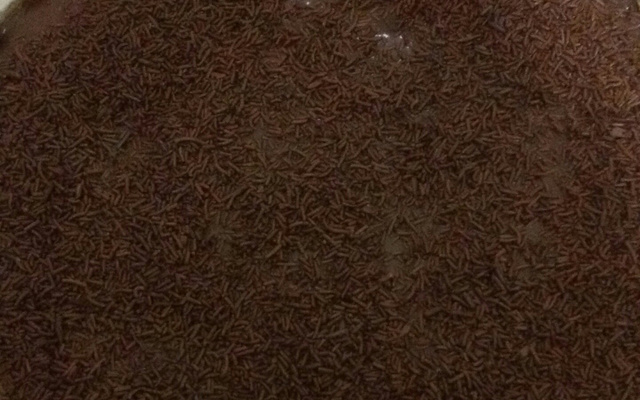 Bolo de chocolate simples