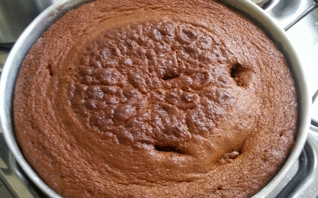 Bolo Moça Pão de Mel