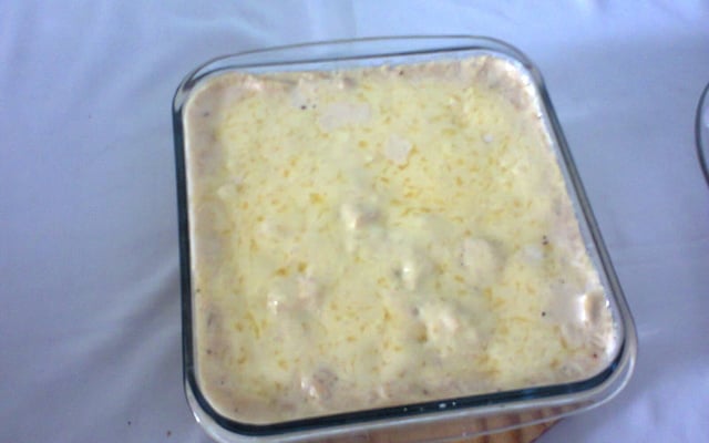 Gravatinha com frango e molho branco