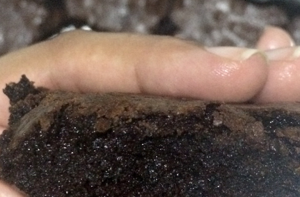 Brownie perfeição da Wilnna