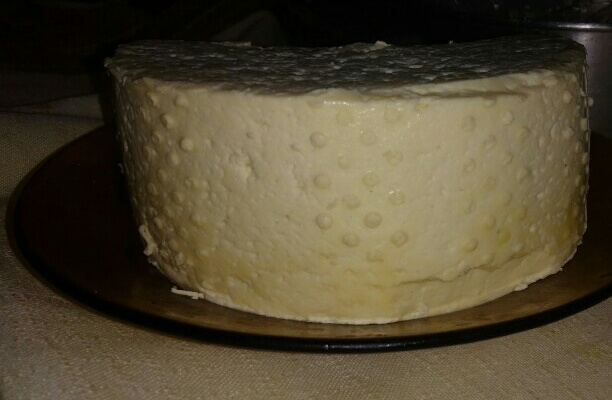 Queijo fresco