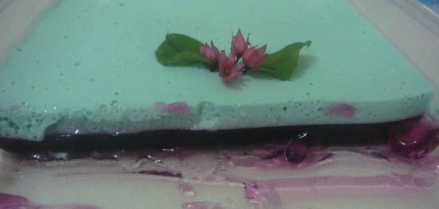 Gelatina Cremosa Bicolor