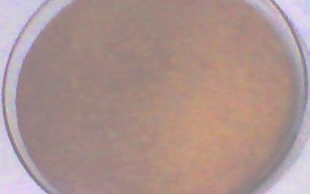 Bolo de fubá, linhaça, queijo e canela