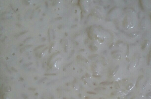 Arroz doce cremoso