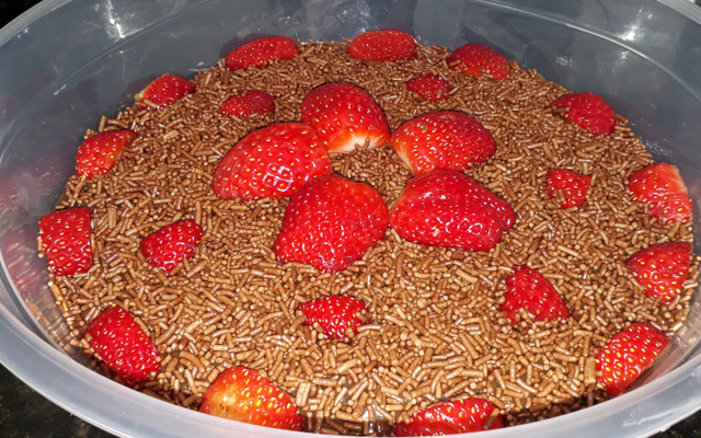 Doce tentação rápido e fácil