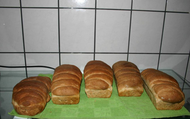 Pão de Ração Humana (Mix de Cereais)