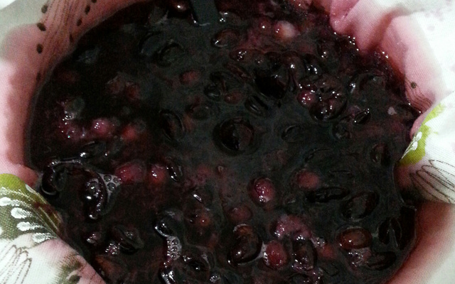 Licor de jaboticaba