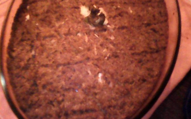 Torta de quibe rápida