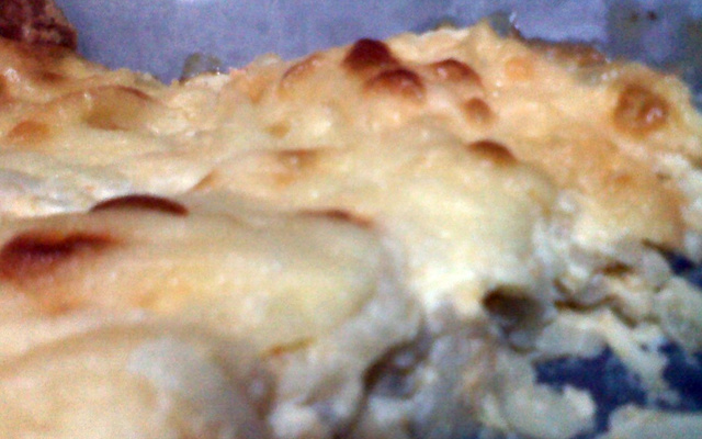 Macarrão ao molho branco e frango desfiado